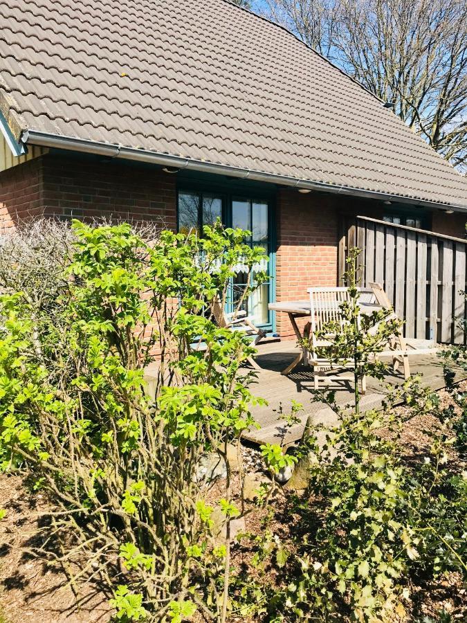 Zentral übernachten nahe Born: 5 Hotels auf dem Darß verglichen